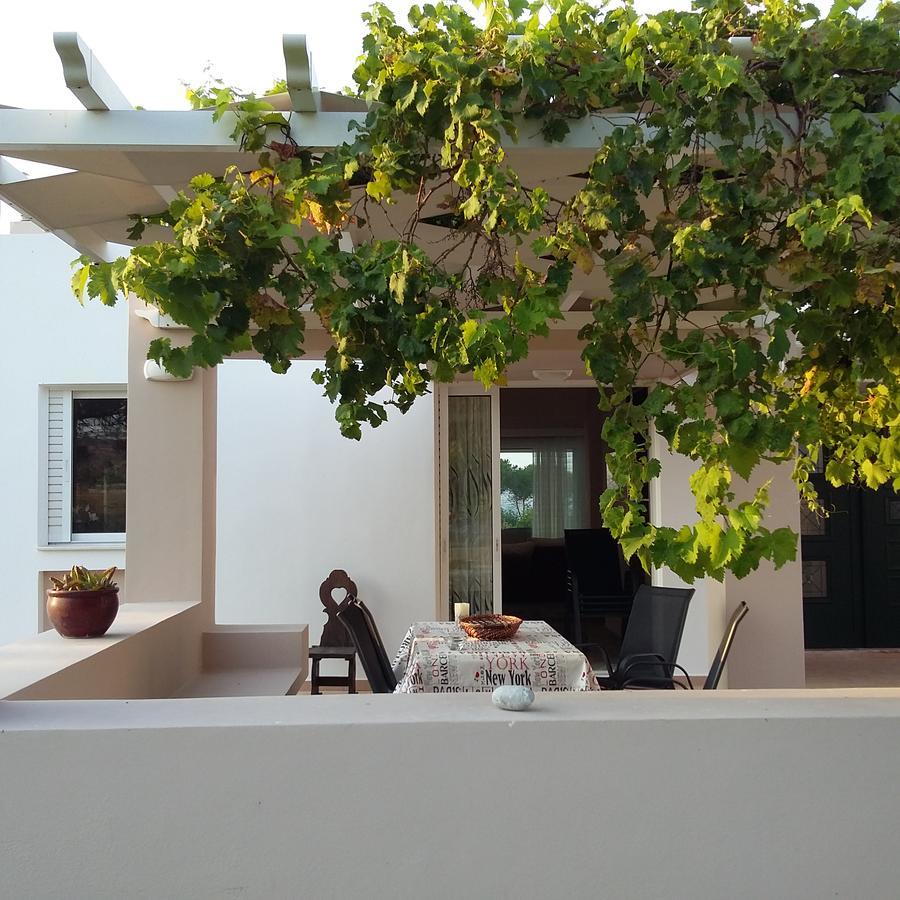 מסטיכרי Villa Leonidas מראה חיצוני תמונה