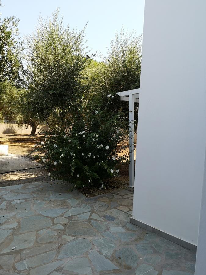 מסטיכרי Villa Leonidas מראה חיצוני תמונה